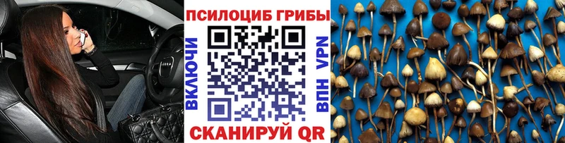Псилоцибиновые грибы мицелий  Юрьевец 